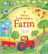 Look Inside a Farm Daynes, Katie
