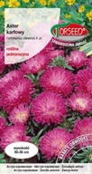Semená trpasličieho Aster ružovofialového - Torseed