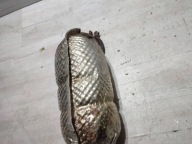 Peugeot 2008 and 2018 filter czastek stalych DPF/FAP