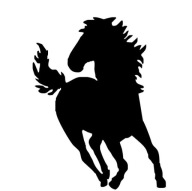 AUTÓMATRICA ABLAKRA - LÓ FUTÁSBAN, VÁGTÁBAN, ÜGETÉSBEN