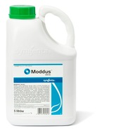 Moddus 250 EC 5L Syngenta regulator wzrostu antywylegacz mocne korzenie