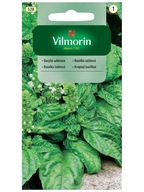 Bazylia sałatowa nasiona Vilmorin 1 g