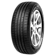 Minerva Transporter 2 RF19 205/65R16 107 T zosilnenie (C)