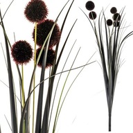 Czarna trawa gałązka 80cm kwitnąca pampasowa do wazonu ozdobna z kulkami