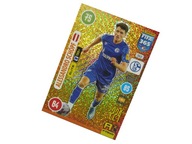 PANINI FIFA 365 2021 KARTY PIŁKARSKIE FANS ELITE SCHOPF 263 SCHALKE 04