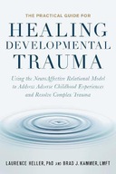 The Practical Guide for Healing Developmental