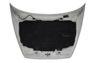 Cofano VOLVO C30 V50 S40 II