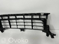 grid central front Porsche Cayenne (9Y0 9Y3) 9Y0807683T