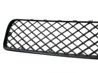 BENTLEY CONTINENTAL GT GTC grill grid 3W8807667A 3W8807667C