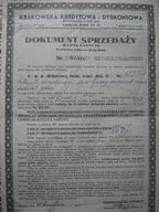 Krakowska Kredytowa Pożyczka dolarowa Dokument