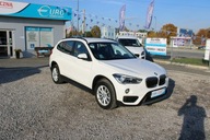 BMW X1 F-Vat,Salon