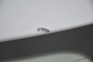 boot doors rear part SEAT IBIZA IV 3D