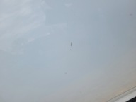 door rear. rear part left DACIA SANDERO II DV369