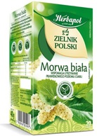Herbapol Zielnik Polski MORWA BIAŁA Herbata 20 tb