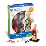 Learning Resources anatomický model ľudského tela, 11,43 cm (4,5")