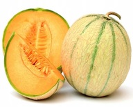 Cukrový melón Charentais Chutné ovocie do 1 kg