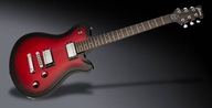 FRAMUS D-Series Panthera Supreme Framus gitara ele