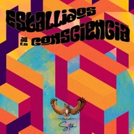 Estallidos de la consciencia (Spanish Edition) Albán Vera, Steven