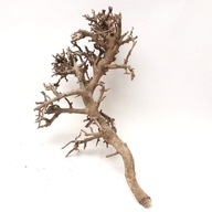 Naturalny Korzeń Drift Branch Bonsai do Akwarium Terrarium 20x10x5cm B3