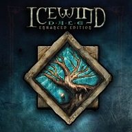 ICEWIND DALE ENHANCED EDITION PL PC DABBING STEAM KEY + ZADARMO