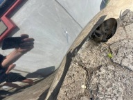 quarter fender right rear part right rear Ford Mustang 2010-2014