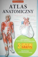 Atlas anatomiczny - Praca zbiorowa
