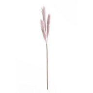 Dekoria Pampová tráva 100cm lilac ružová