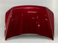cofano Ford F-150 14 P702 2021 A101522