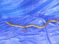 pipe exhaust exhaust pipe NAVARA NP300 2,3DCI