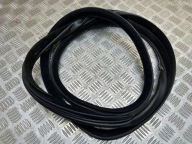 Dichtsatz Tür tylnych BMW 5 F10 2013 7182288