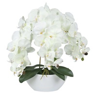 Umelá orchidea v kvetináči, ecru, ako živá, 3 výhonky 53 cm