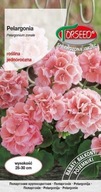 Pelargónia záhonová ružová semená F2 TORSEED