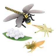 4ks Prírodná hračka na rast vážky Rast zvierat