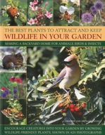 Best Plants to Attract and Keep Wildlife in the
