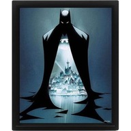 3D obraz v ráme BATMAN - GOTHAM PROTECTOR