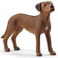 SLH13895 Schleich Farm World Pes plemeno Rhodesian Ridgeback, figúrka 3+