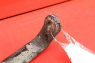 stabilizer rod front front RENAULT CLIO 3 III 1.5 DCI 86 KM 05-09