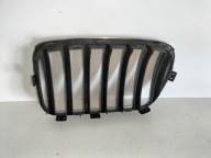 grille grid kidney grille left BMW X3 F25 10-14