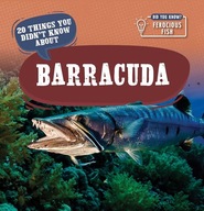 20 Things You Didn't Know about Barracuda (Did You Know? Ferocious Fish)