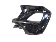 grid of a bumper front front right MG ZS LIFT 10694866