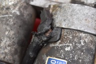 starter test 36100-4A000 KIA SORENTO 1 and 2.5 CRDI 140 KM 02-06