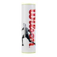 Волани для бадмінтону Wilson Dropshot 6 шт. жовтий OS