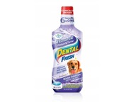 DENTAL FRESH KAMIEŃ & OSAD 237 ML, ŚWIEŻY ODDECH , MOCNE SZKLIWO