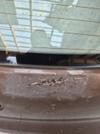 HYUNDAI I10 II 13- trunk door boot rear part rear