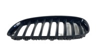 BMW Z4 E89 09- kidney grille grille left black 40502054