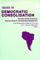 Issues in Democratic Consolidation: The New South