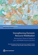 Strengthening domestic resource mobilization: