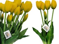 TULIPÁNY Silikónové Pogumované ako Živé Premium Tulipán 40 cm 5 ks žlté
