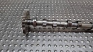 Arbre à cames d’échappement 7790596 BMW E60 E61 E83 E87 E90 E91 520D M47