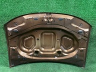 Capot DACIA DUSTER et 10-17
